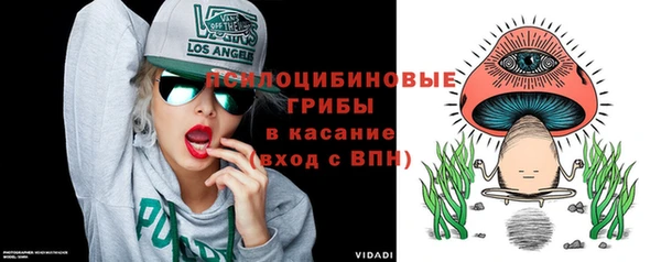 apvp Алзамай