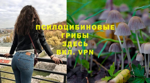ешки Алексеевка
