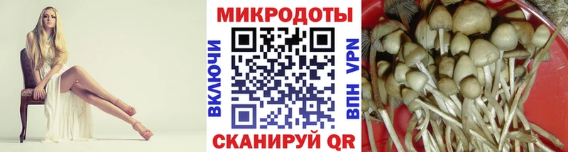 Псилоцибиновые грибы MAGIC MUSHROOMS Липки